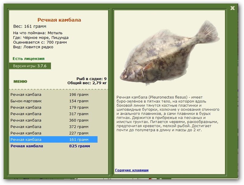 Пицунда 