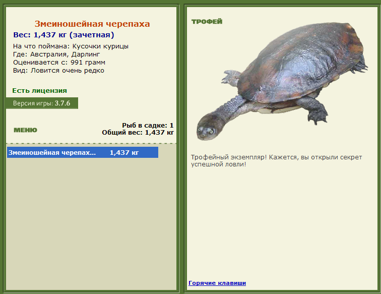 турниры • РУССКАЯ РЫБАЛКА