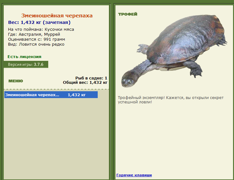 турниры • РУССКАЯ РЫБАЛКА