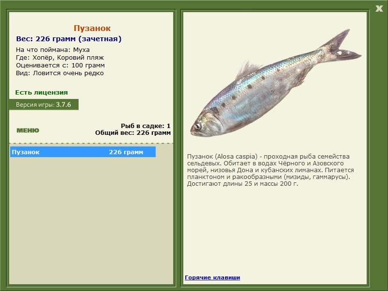 Коровий пляж 