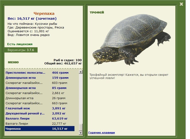 Ряска 