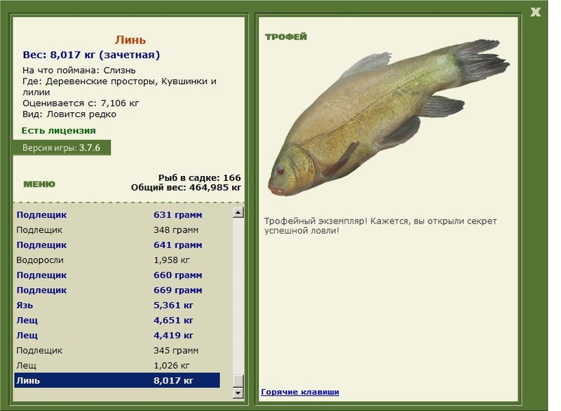 Кувшинки и лилии 