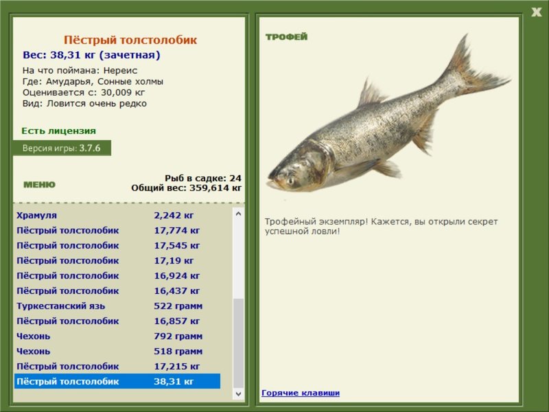 Сонные холмы 