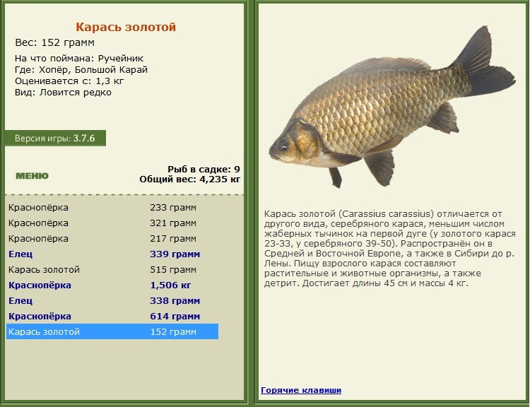 турниры • РУССКАЯ РЫБАЛКА