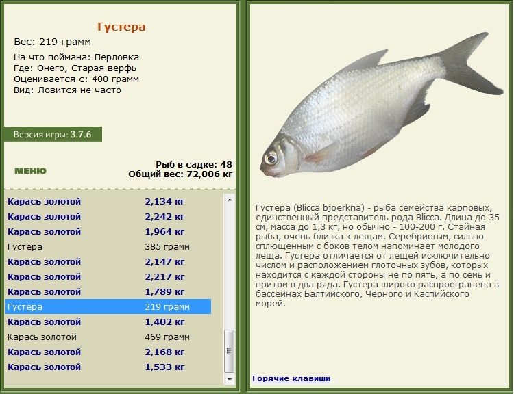 турниры • РУССКАЯ РЫБАЛКА