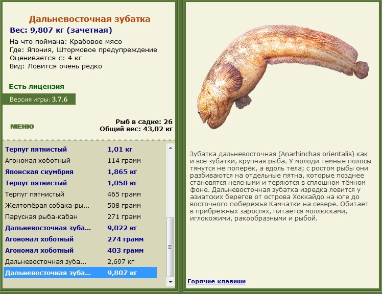 турниры • РУССКАЯ РЫБАЛКА
