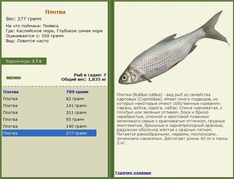 Глубокое синее море 