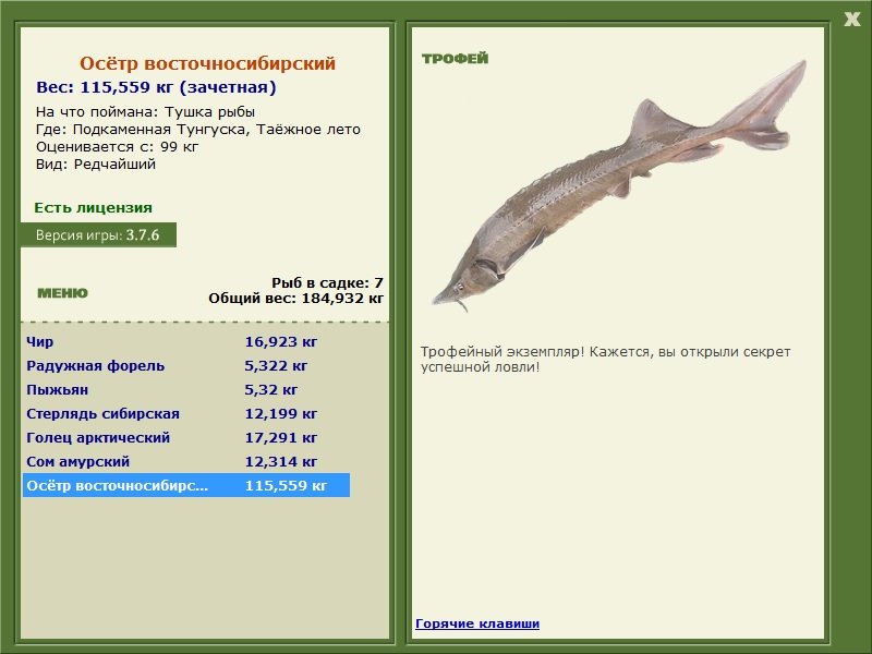 Таёжное лето 