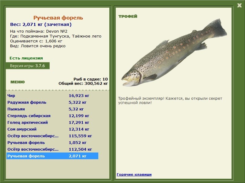 Таёжное лето 