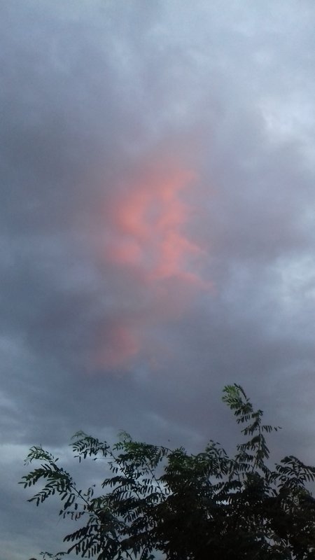  Ренесансов форум