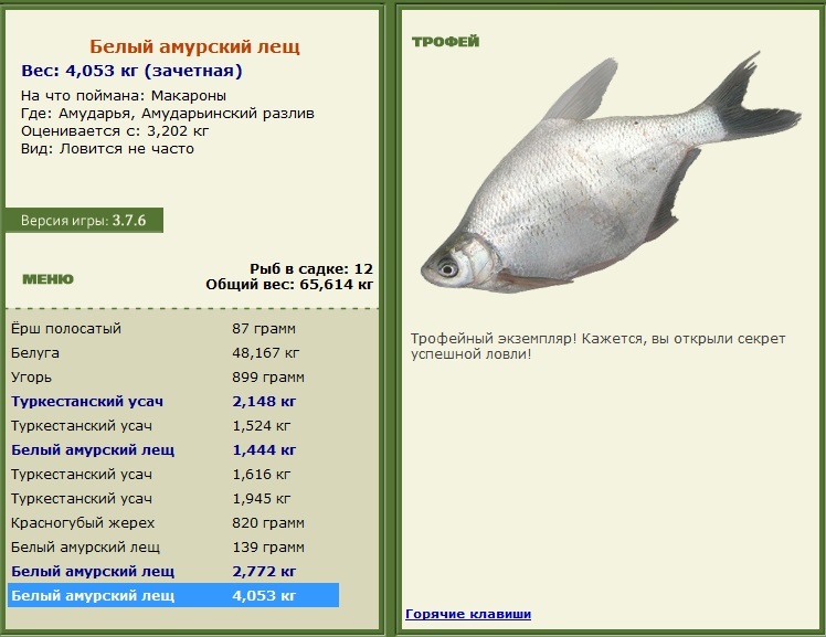 Белый амурский лещ 