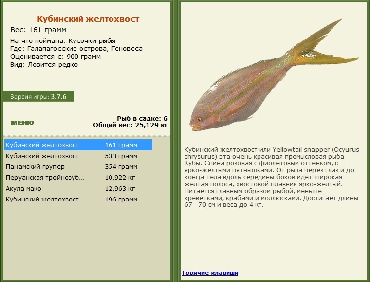 турниры • РУССКАЯ РЫБАЛКА