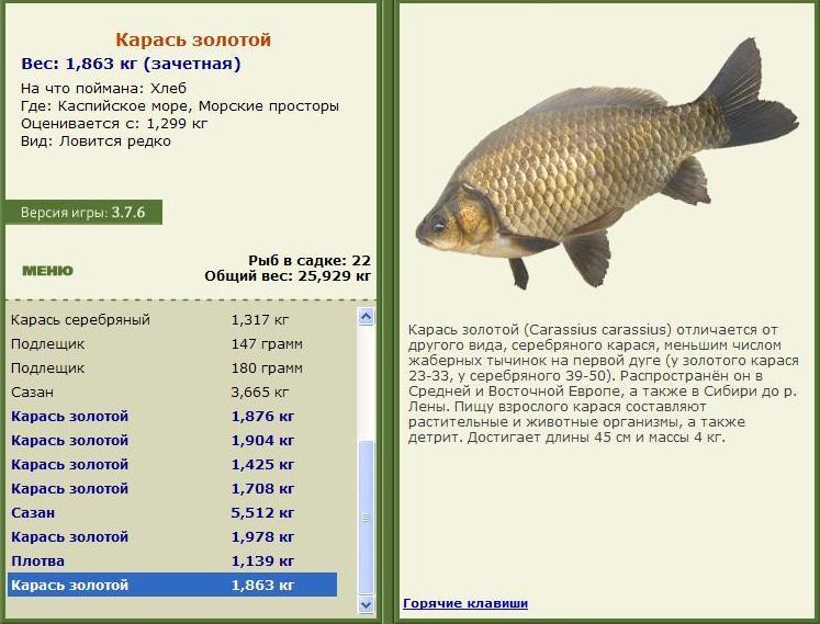 Морские просторы 