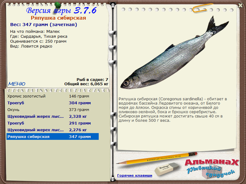 Сырдарья 