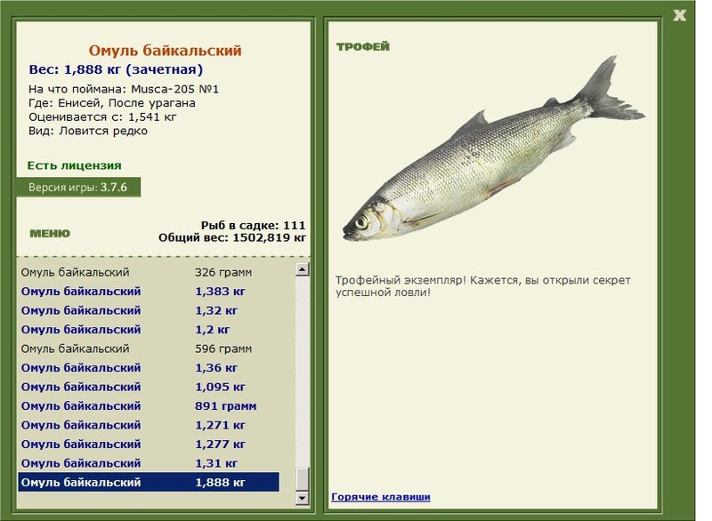 После урагана 