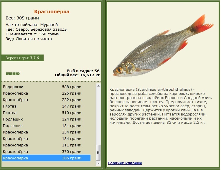 турниры • РУССКАЯ РЫБАЛКА