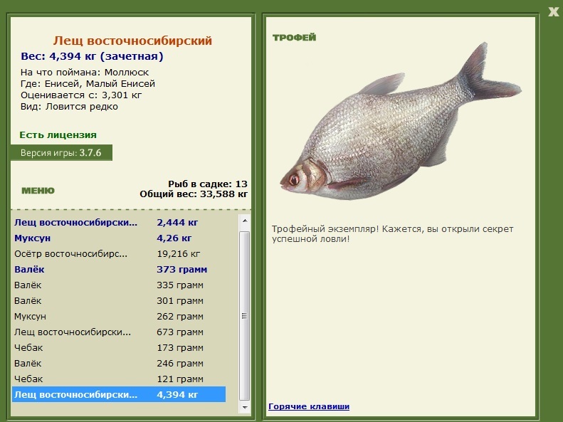 Малый Енисей 