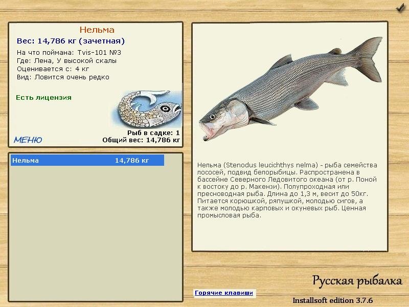 У высокой скалы 