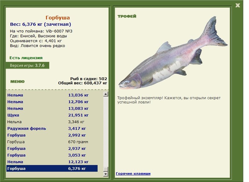 Высокие воды 