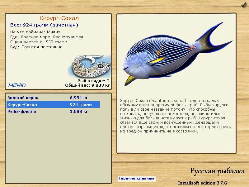 Рас Мохаммед 