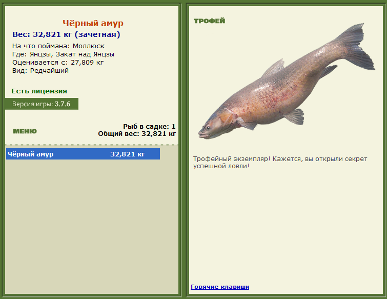 турниры • РУССКАЯ РЫБАЛКА