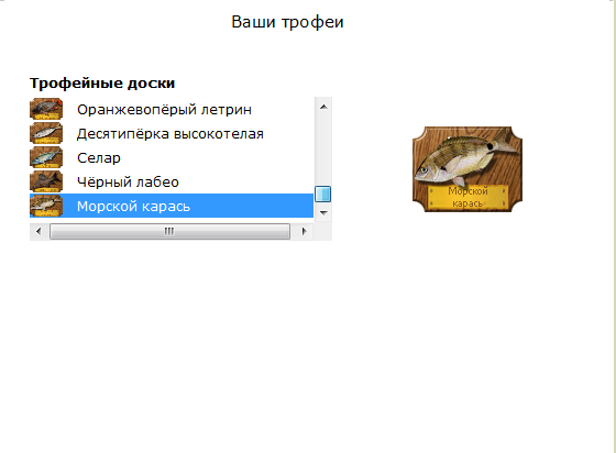 турниры • РУССКАЯ РЫБАЛКА