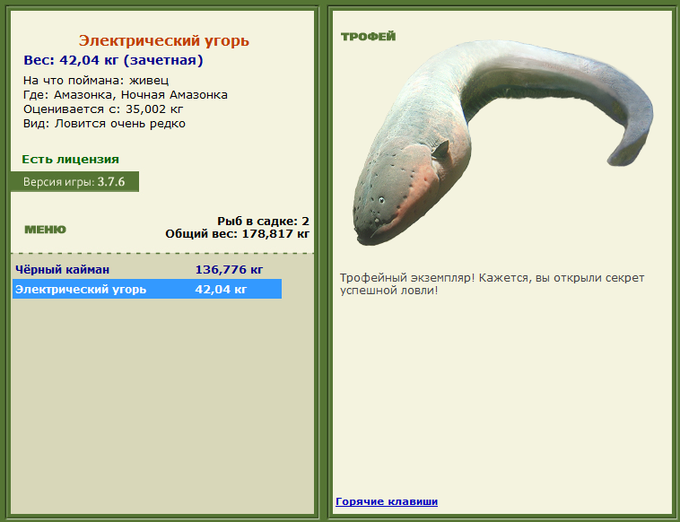 турниры • РУССКАЯ РЫБАЛКА