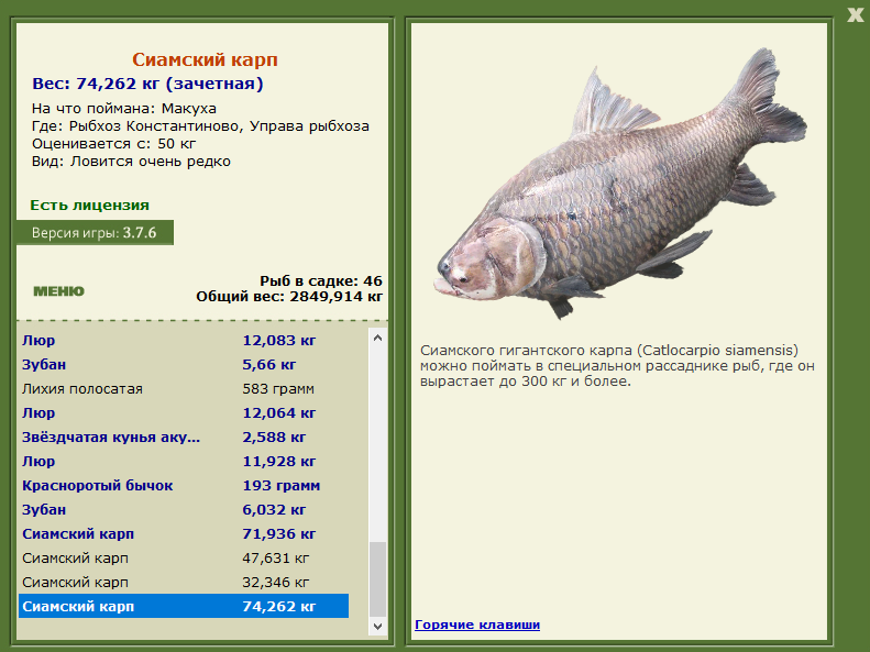 Управа рыбхоза 