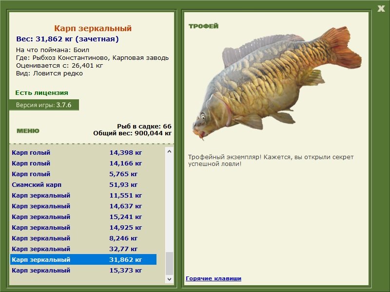 Карповая заводь 
