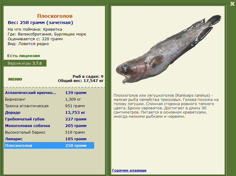 Бурлящее море 