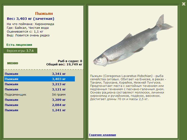 Чистая вода 