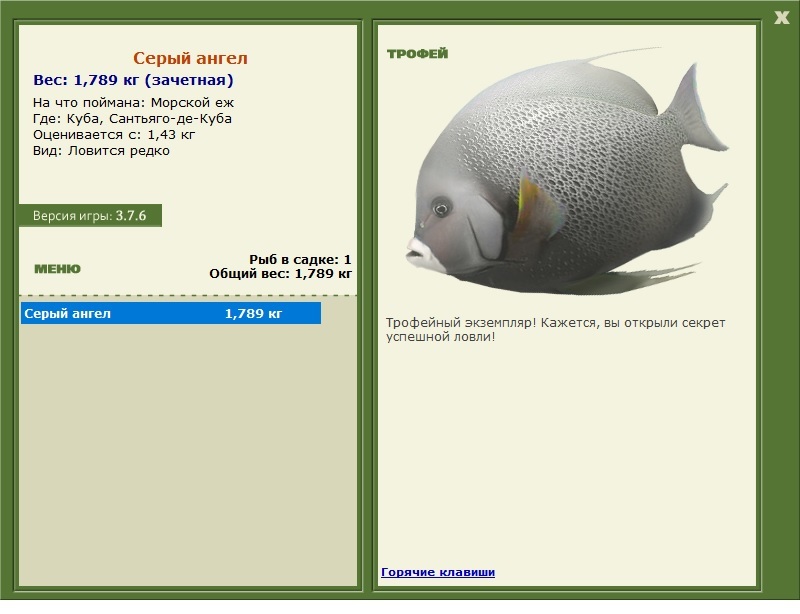 турниры • РУССКАЯ РЫБАЛКА