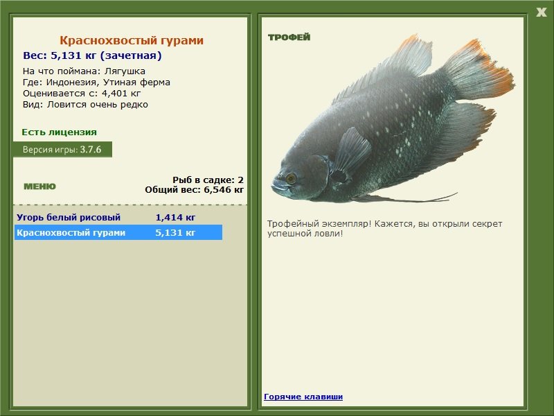 Утиная ферма 