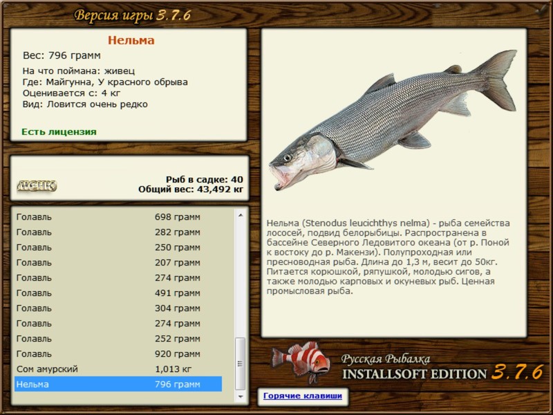 РУССКАЯ РЫБАЛКА Installsoft Edition 