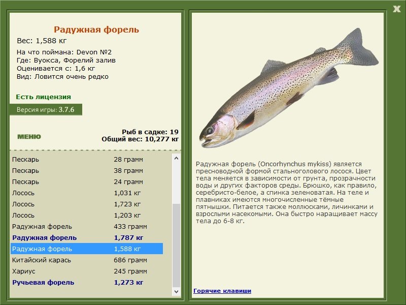 турниры • РУССКАЯ РЫБАЛКА