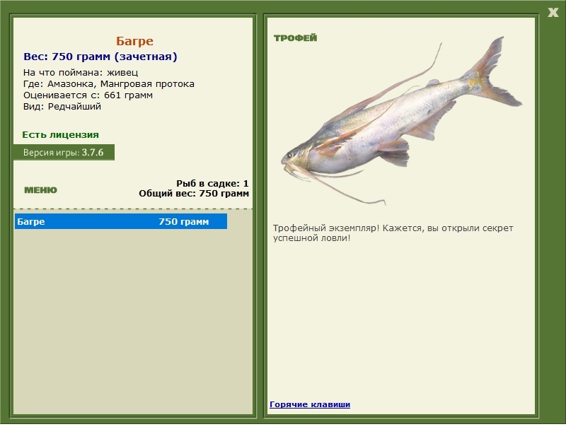 Багре 