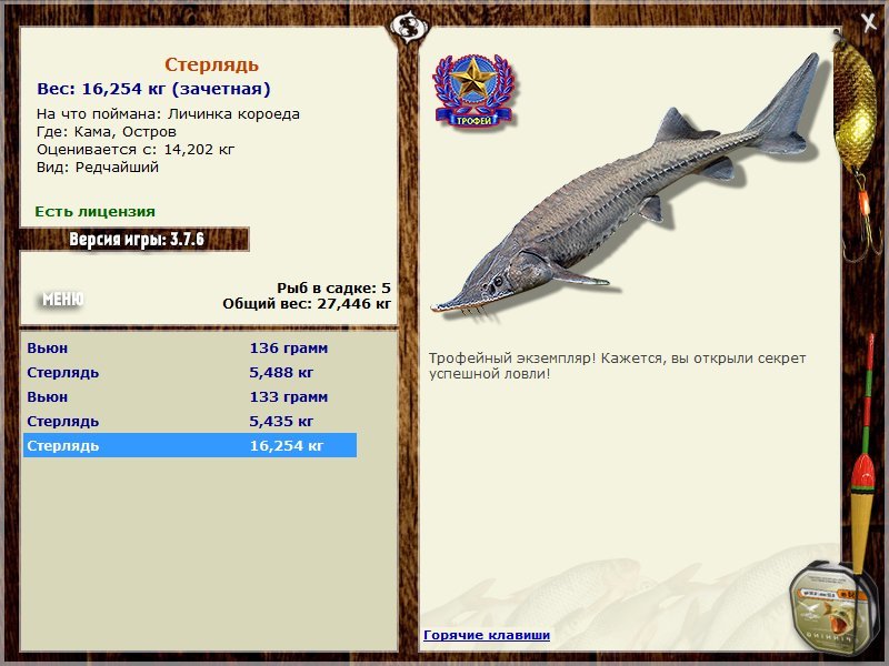 Остров 