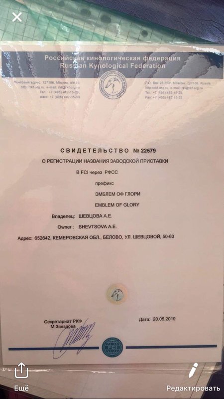 Изображение