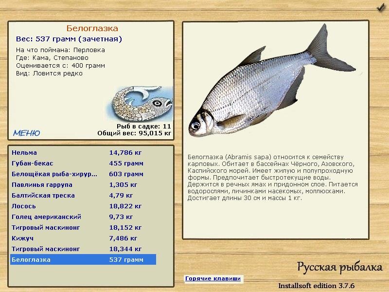 Степаново 