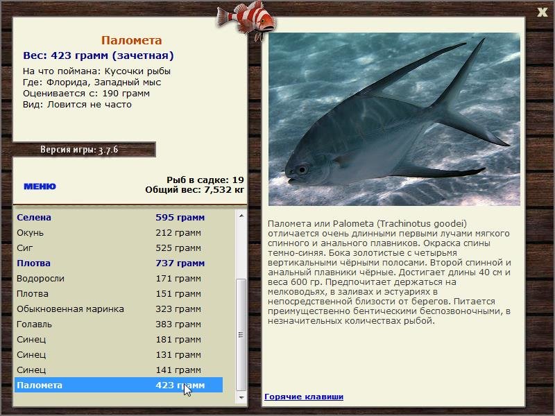 Западный мыс 