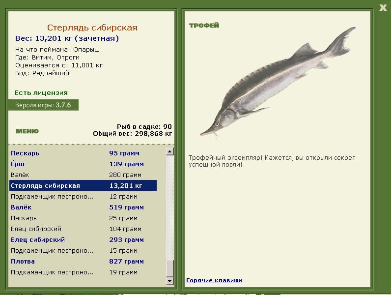 Заявки на рекорд 