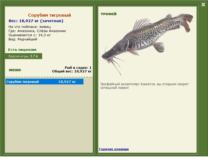 Сорубим тигровый 