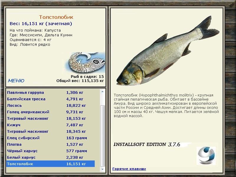 Дельта Куинн 