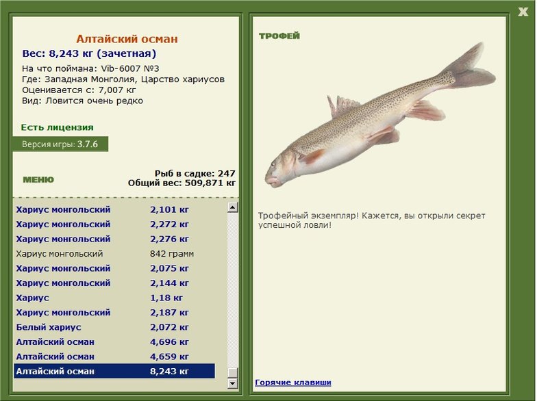 Алтайский осман 