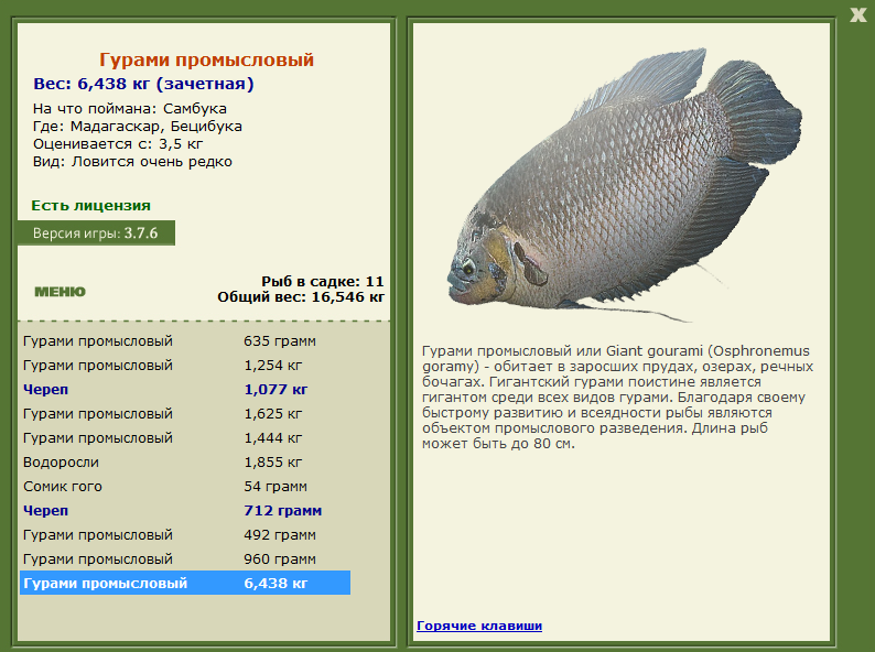 Бецибука 