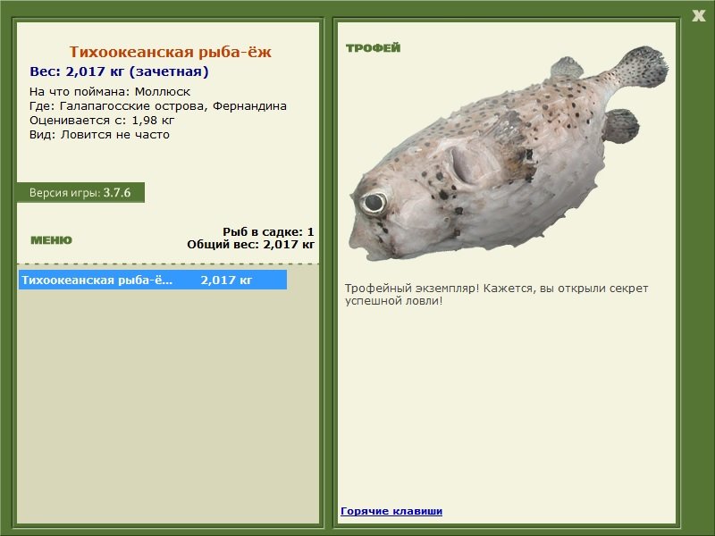 Фернандина 