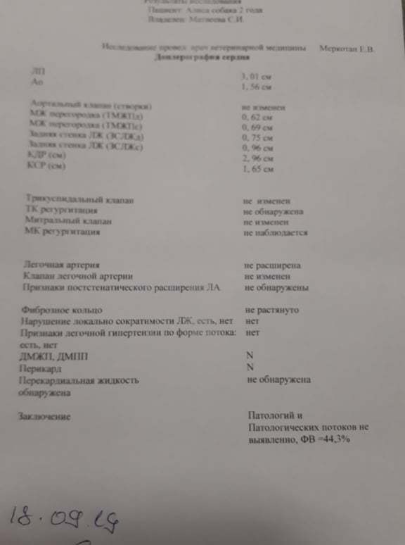 Общий финансовый отчет счетов Матвеевой 
