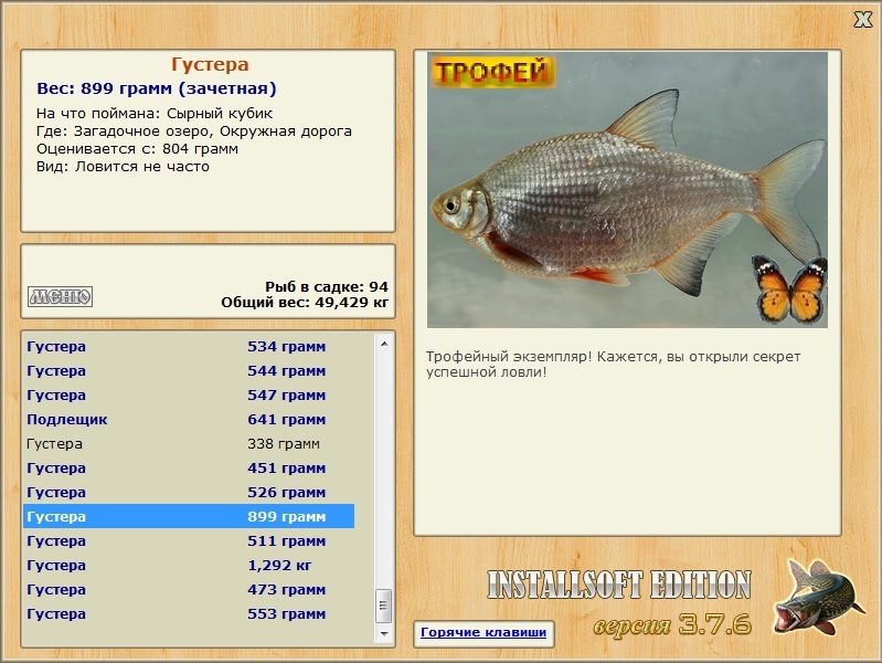 Густера 