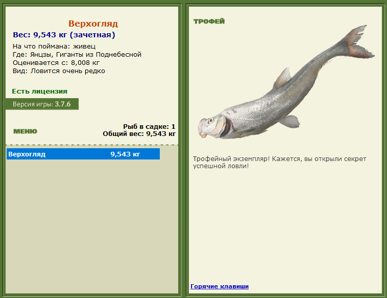 Верхогляд 