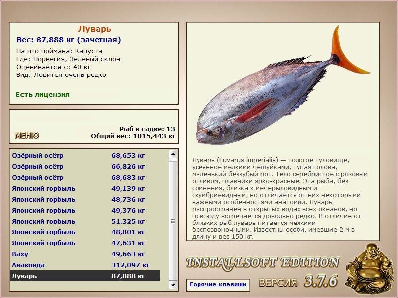 турниры • РУССКАЯ РЫБАЛКА